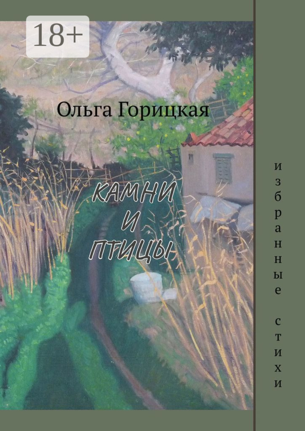 Обложка книги «Камни и птицы»