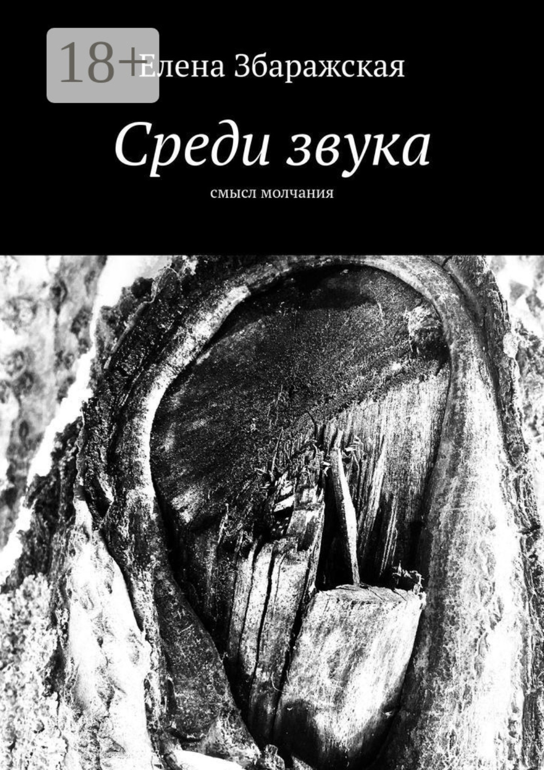 Обложка книги «Среди звука. Смысл молчания»