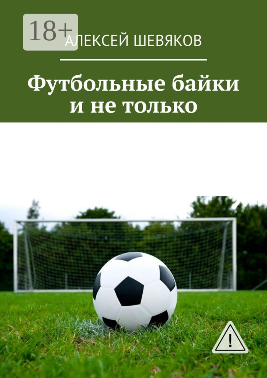Обложка книги «Футбольные байки и не только»
