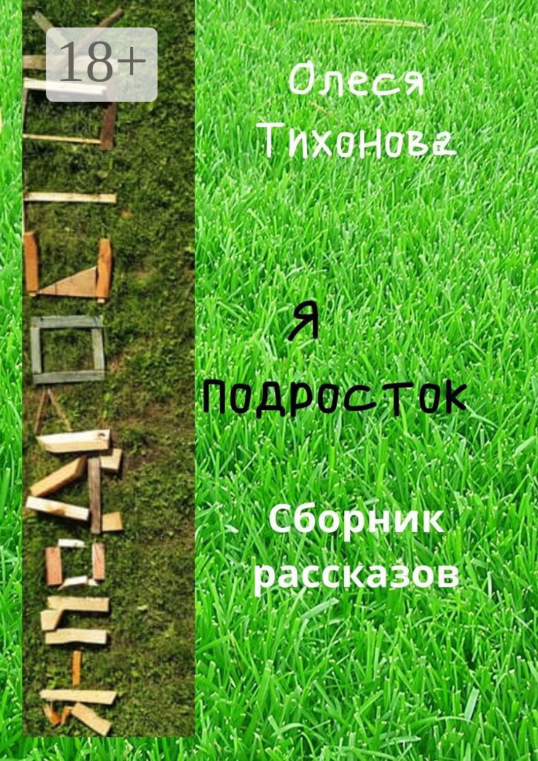 Обложка книги «Я подросток»