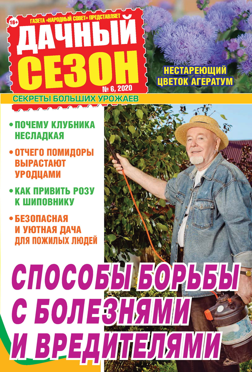 Обложка книги «Дачный сезон №06/2020»