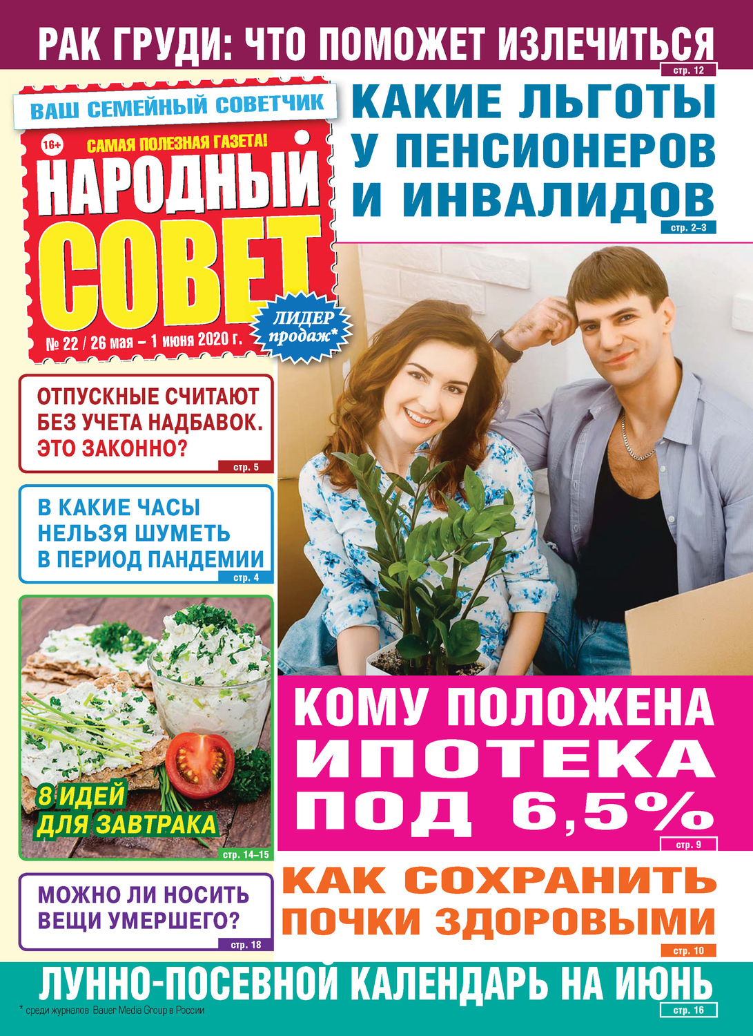 Обложка книги «Народный совет №22/2020»
