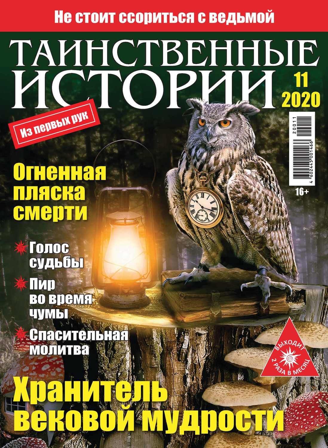 Обложка книги «Таинственные истории №11/2020»