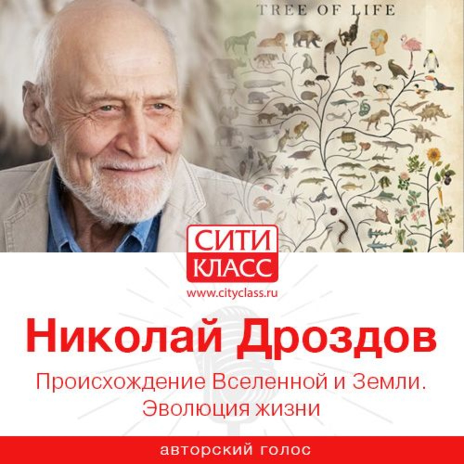 Обложка книги «Происхождение Вселенной и Земли. Эволюция жизни»
