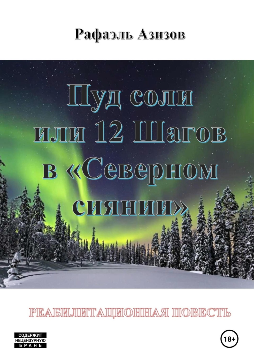 Обложка книги «Пуд соли, или 12 Шагов в «Северном сиянии»»