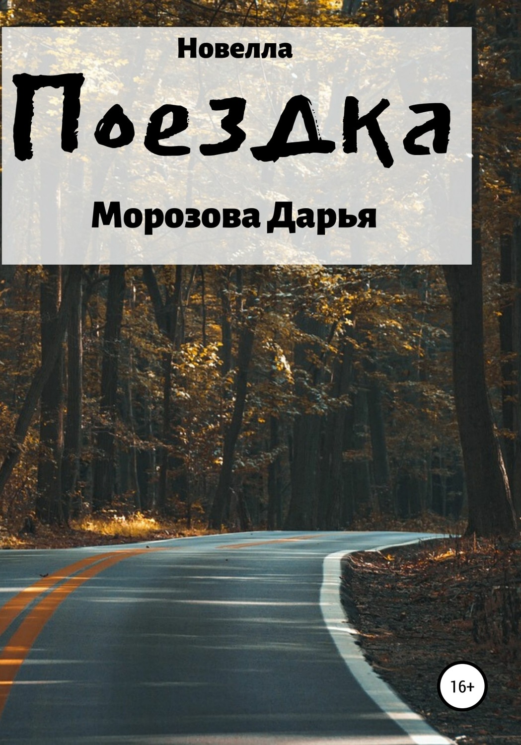 Обложка книги «Поездка»