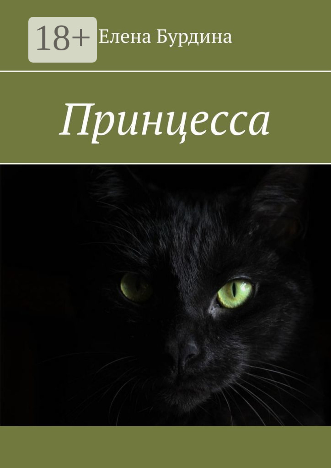 Обложка книги «Принцесса»