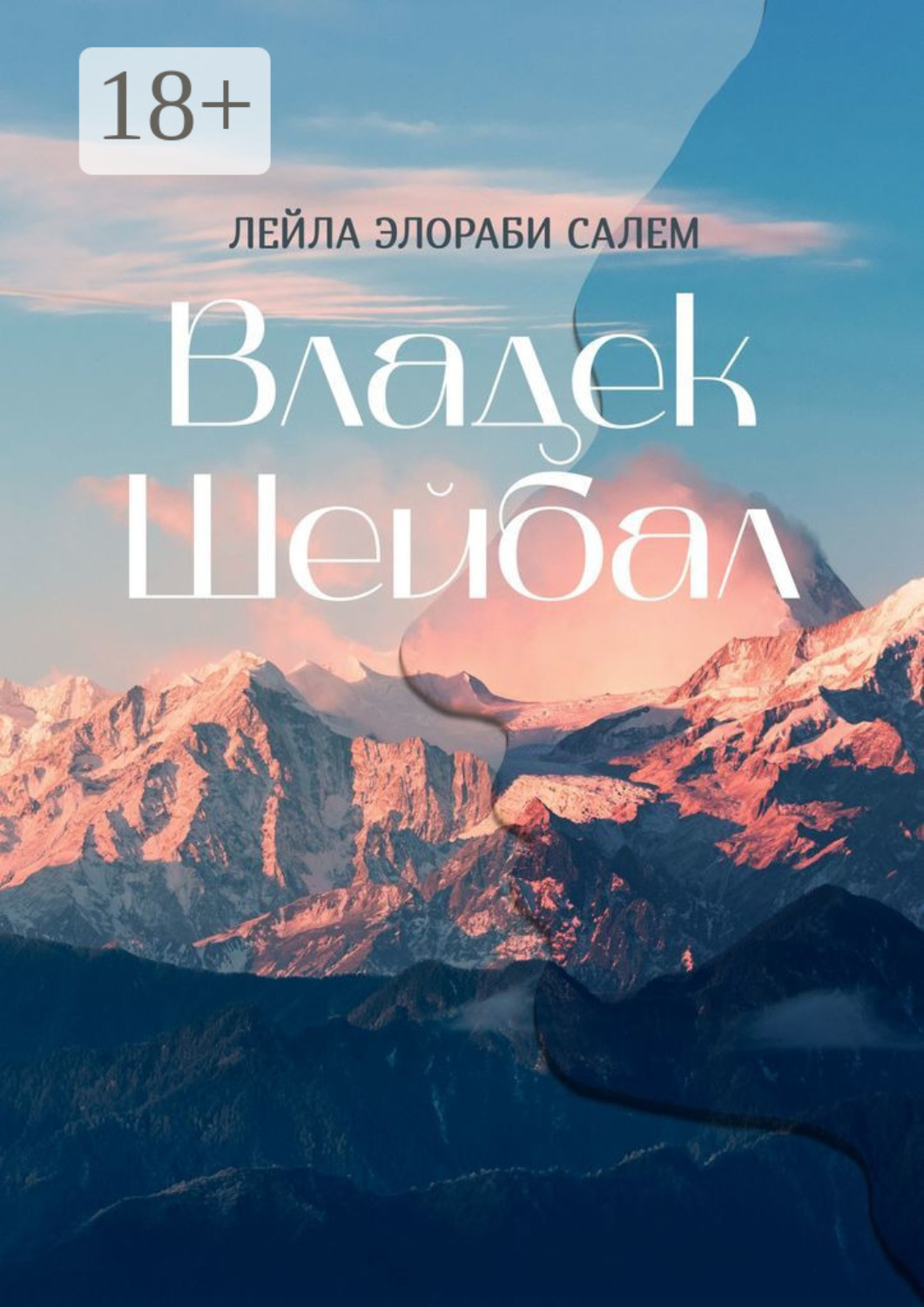 Обложка книги «Владек Шейбал»