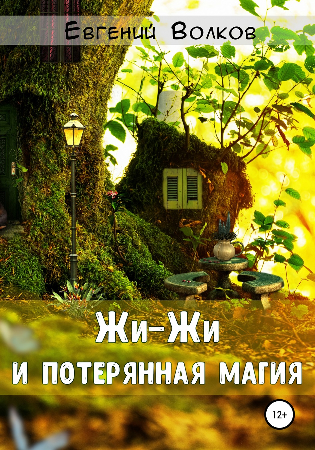 Обложка книги «Жи-Жи и потерянная магия»