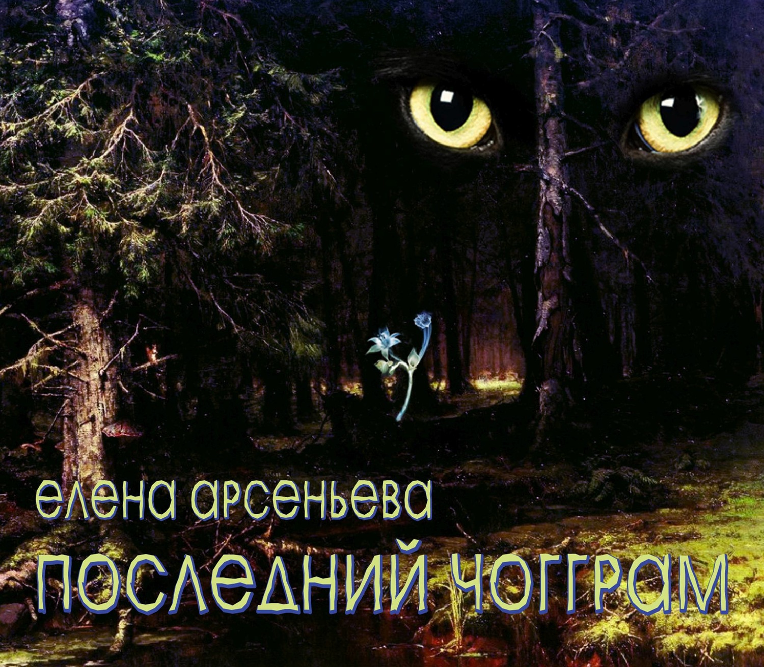 Обложка книги «Последний чогграм»