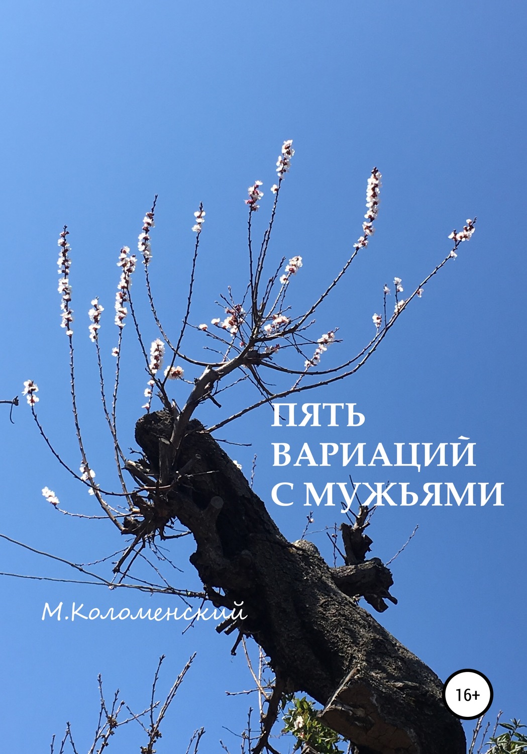 Обложка книги «Пять вариаций с мужьями»