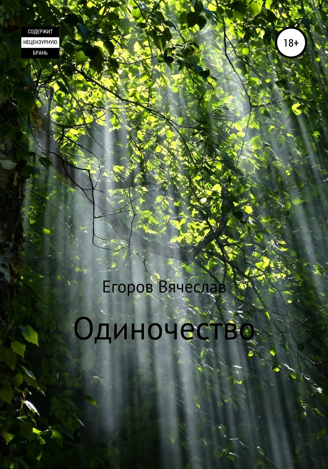 Обложка книги «Одиночество»