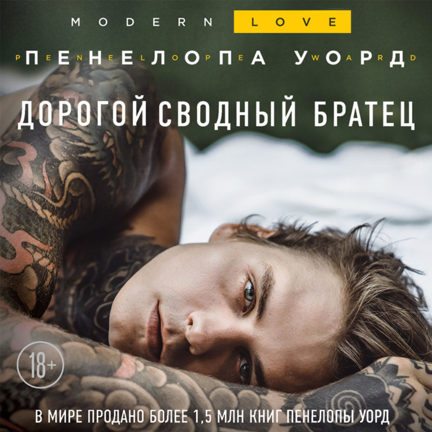 Обложка книги «Дорогой сводный братец»