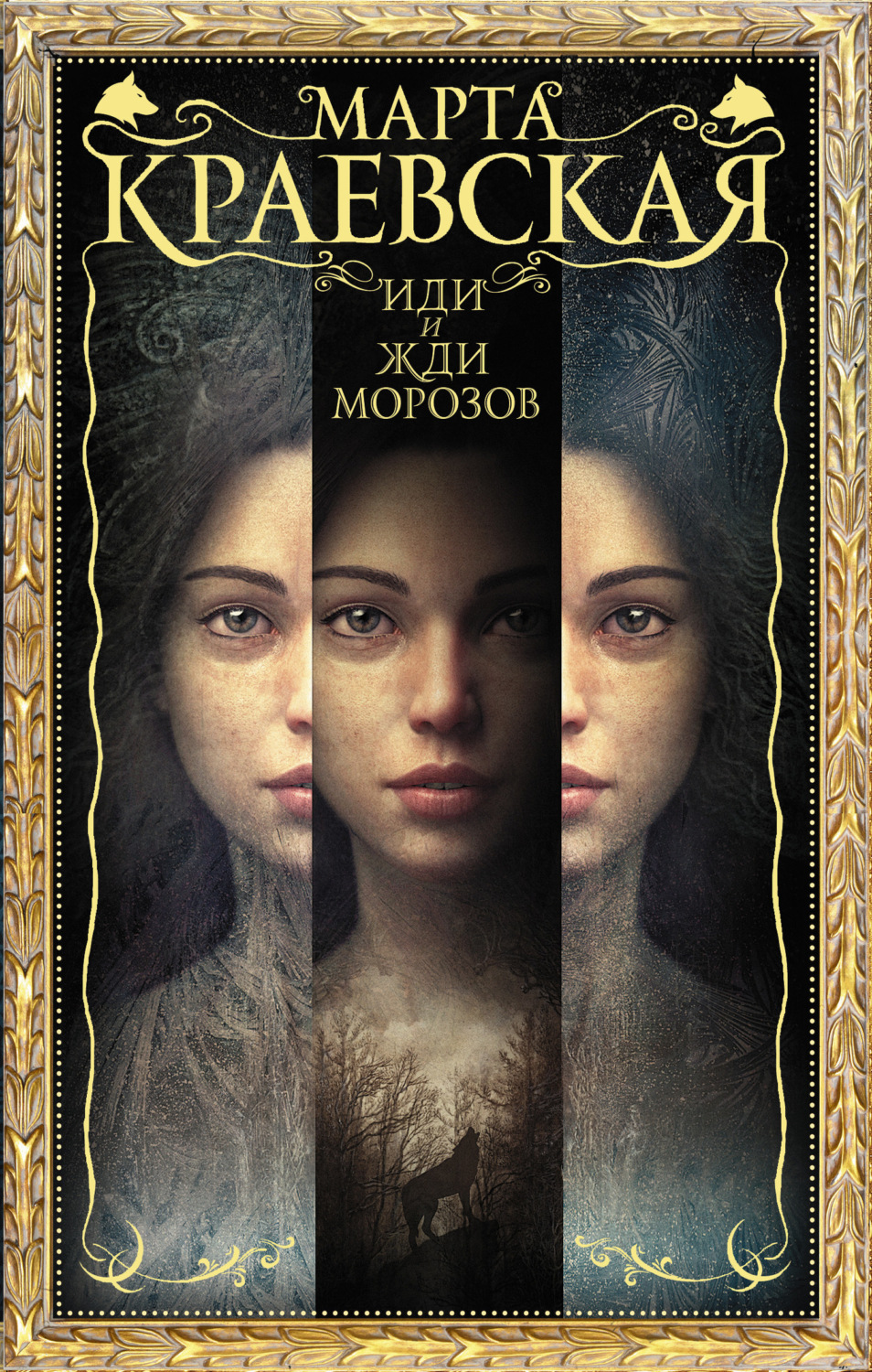 Обложка книги «Иди и жди морозов»