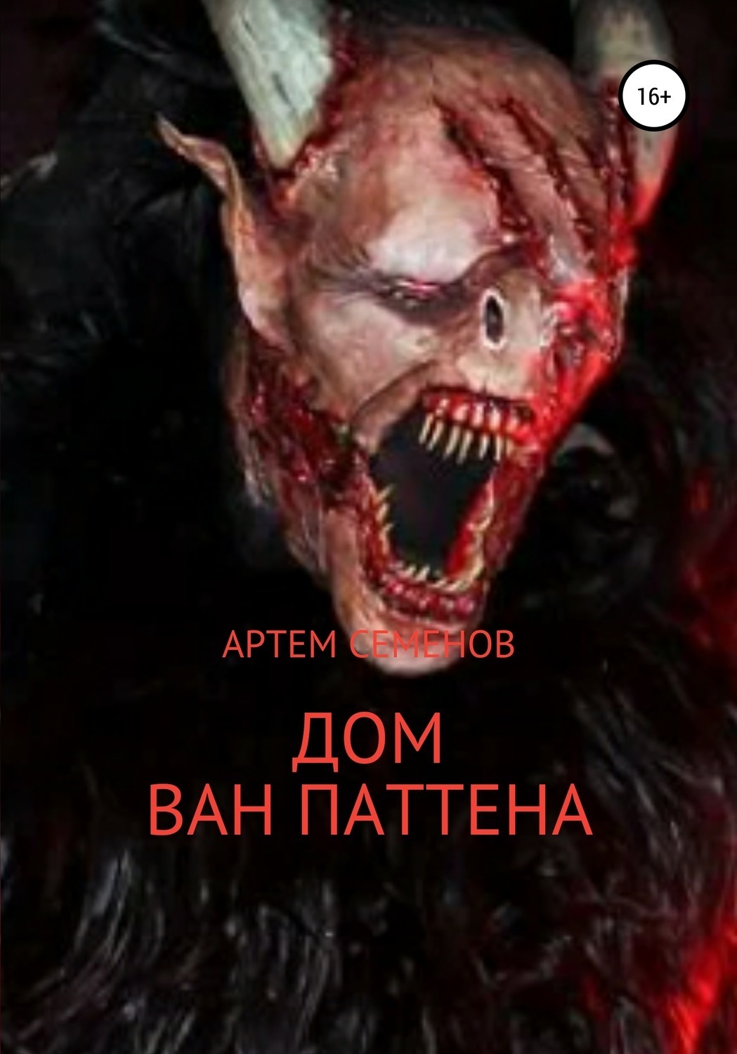 Обложка книги «Дом Ван Паттена»