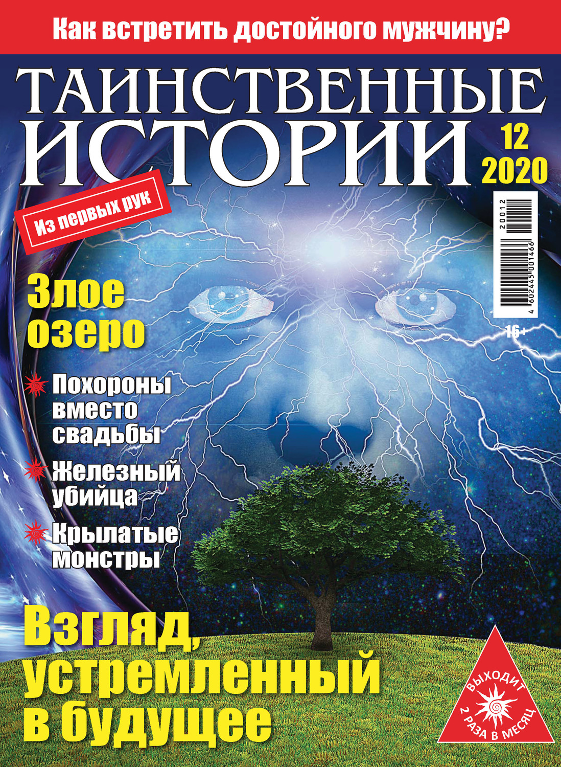 Обложка книги «Таинственные истории №12/2020»