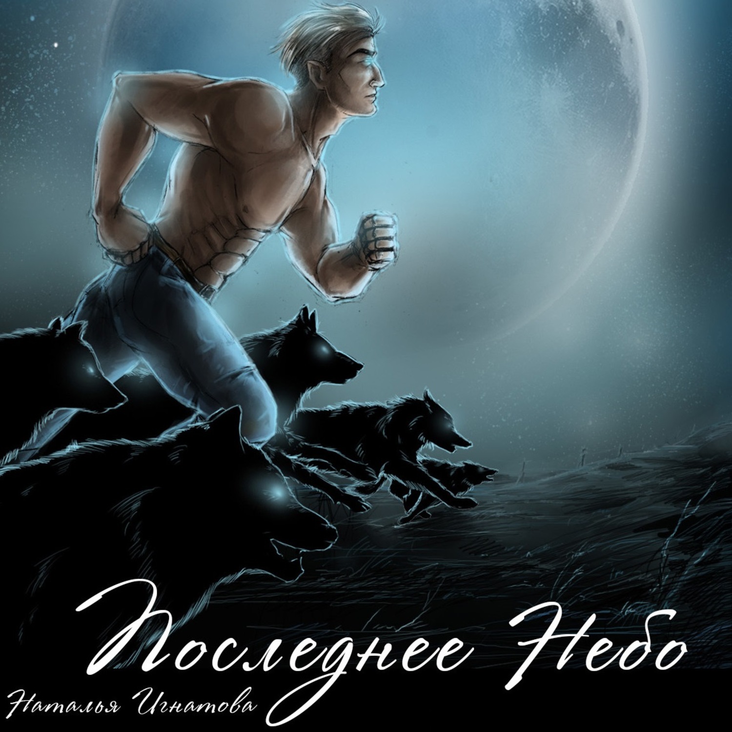 Обложка книги «Последнее небо»
