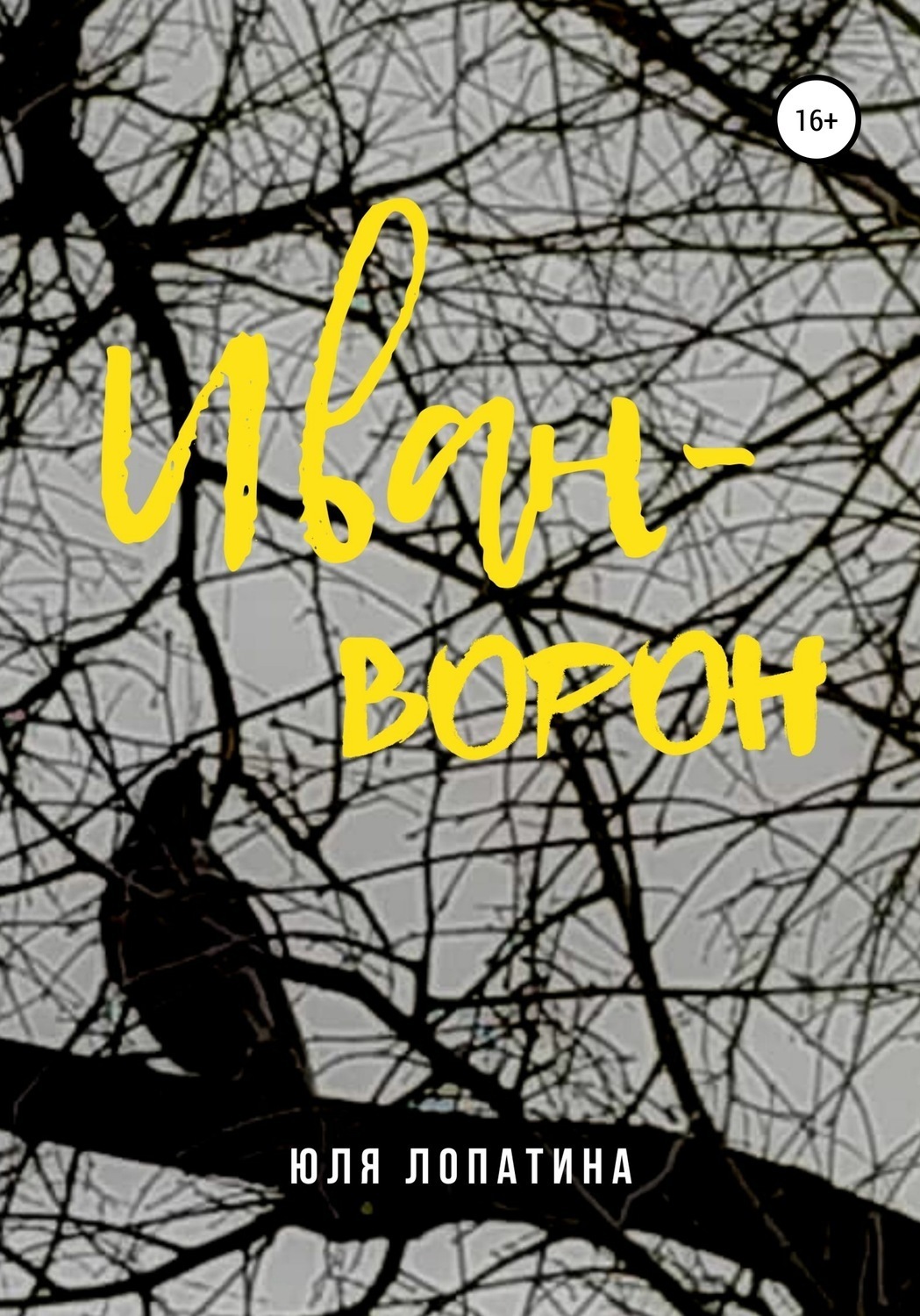 Обложка книги «Иван-ворон»