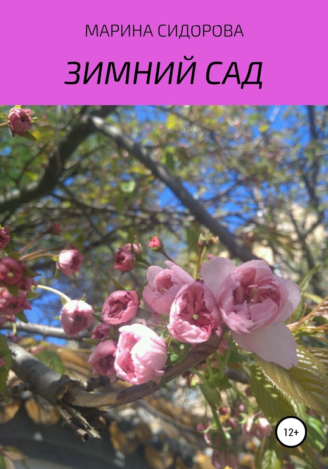Обложка книги «Зимний сад»