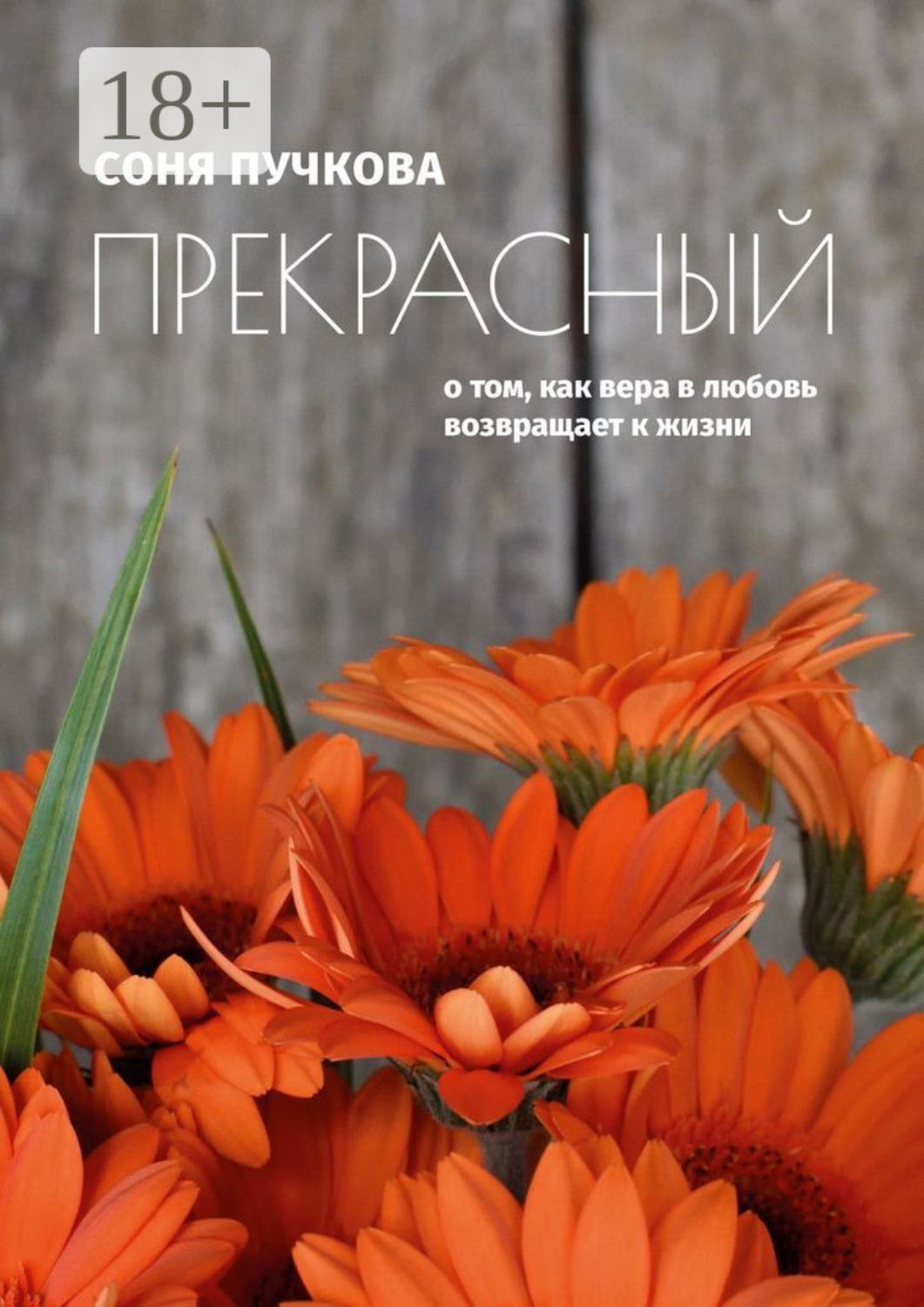 Обложка книги «Прекрасный. О том, как вера в любовь возвращает к жизни»