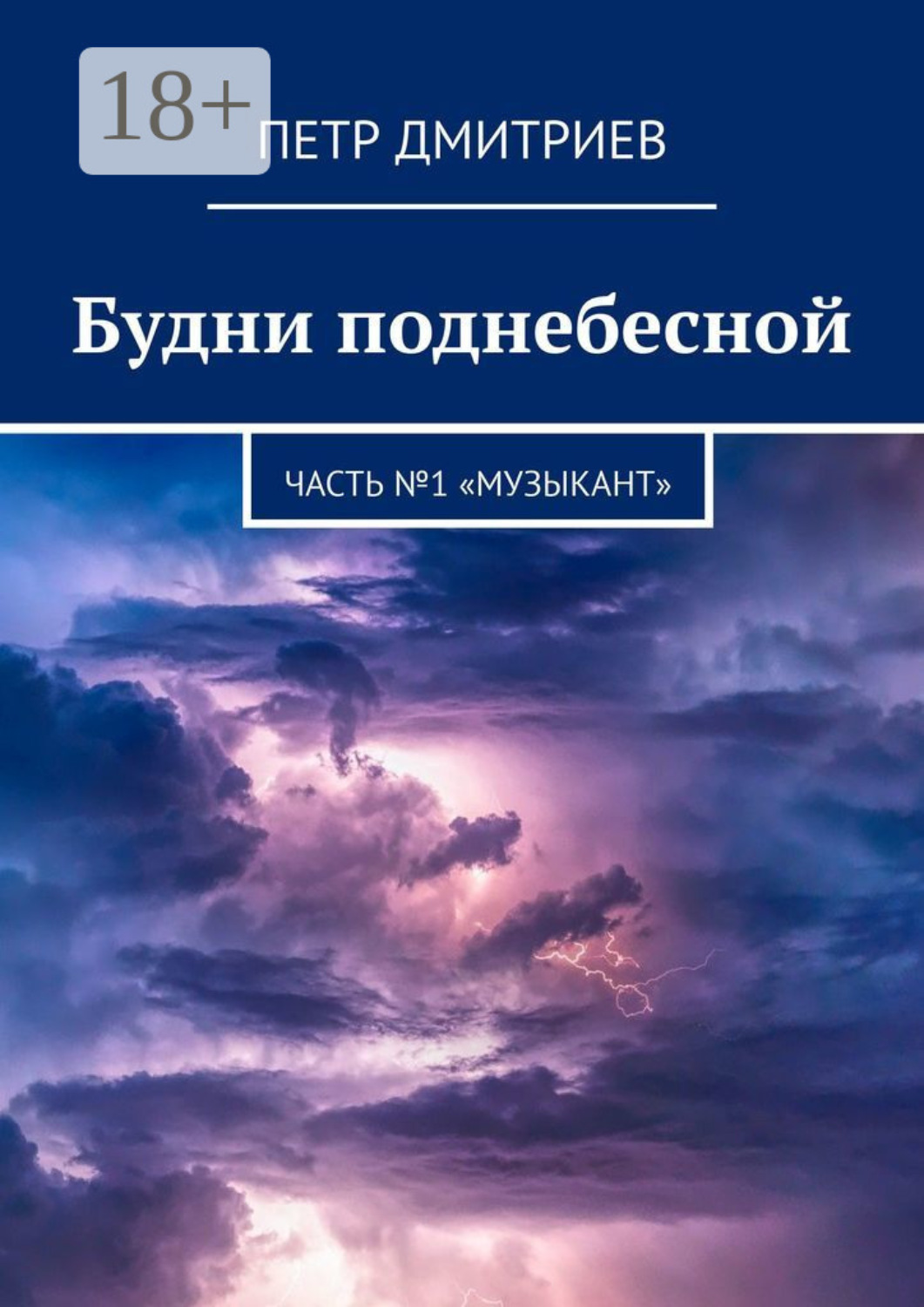 Обложка книги «Будни поднебесной. Часть №1 «Музыкант»»