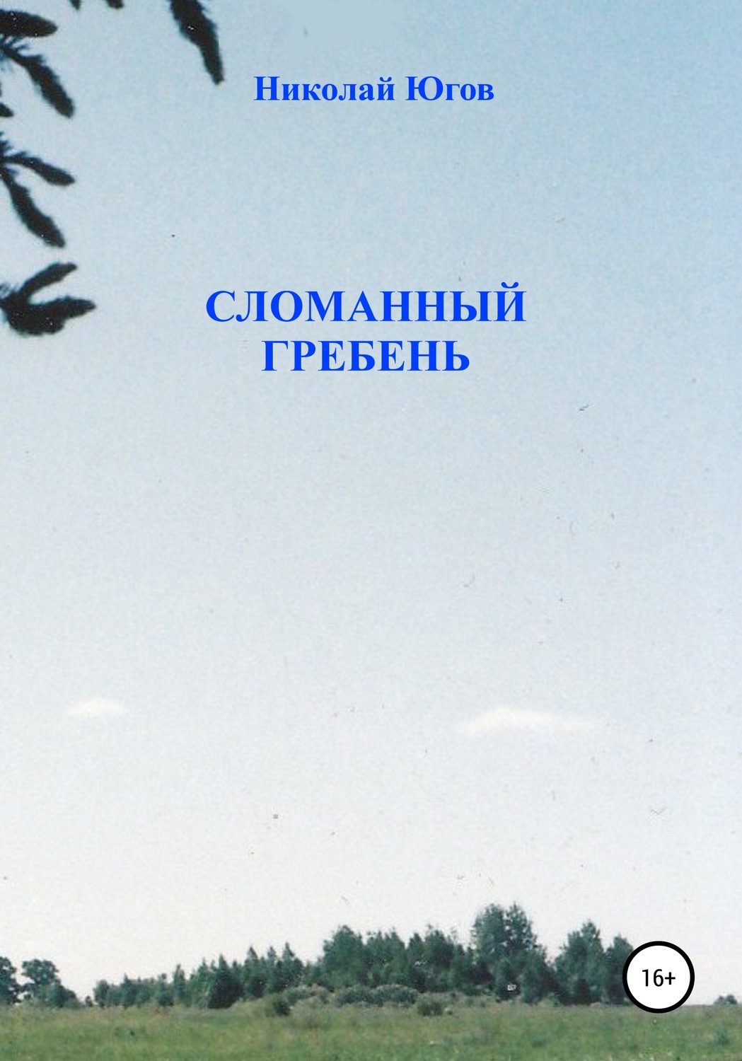 Обложка книги «Сломанный гребень»