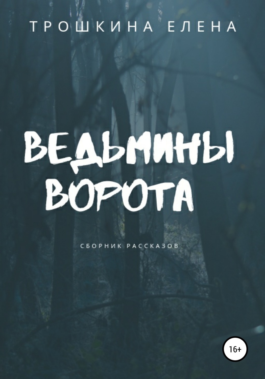 Обложка книги «Ведьмины ворота. Сборник рассказов»