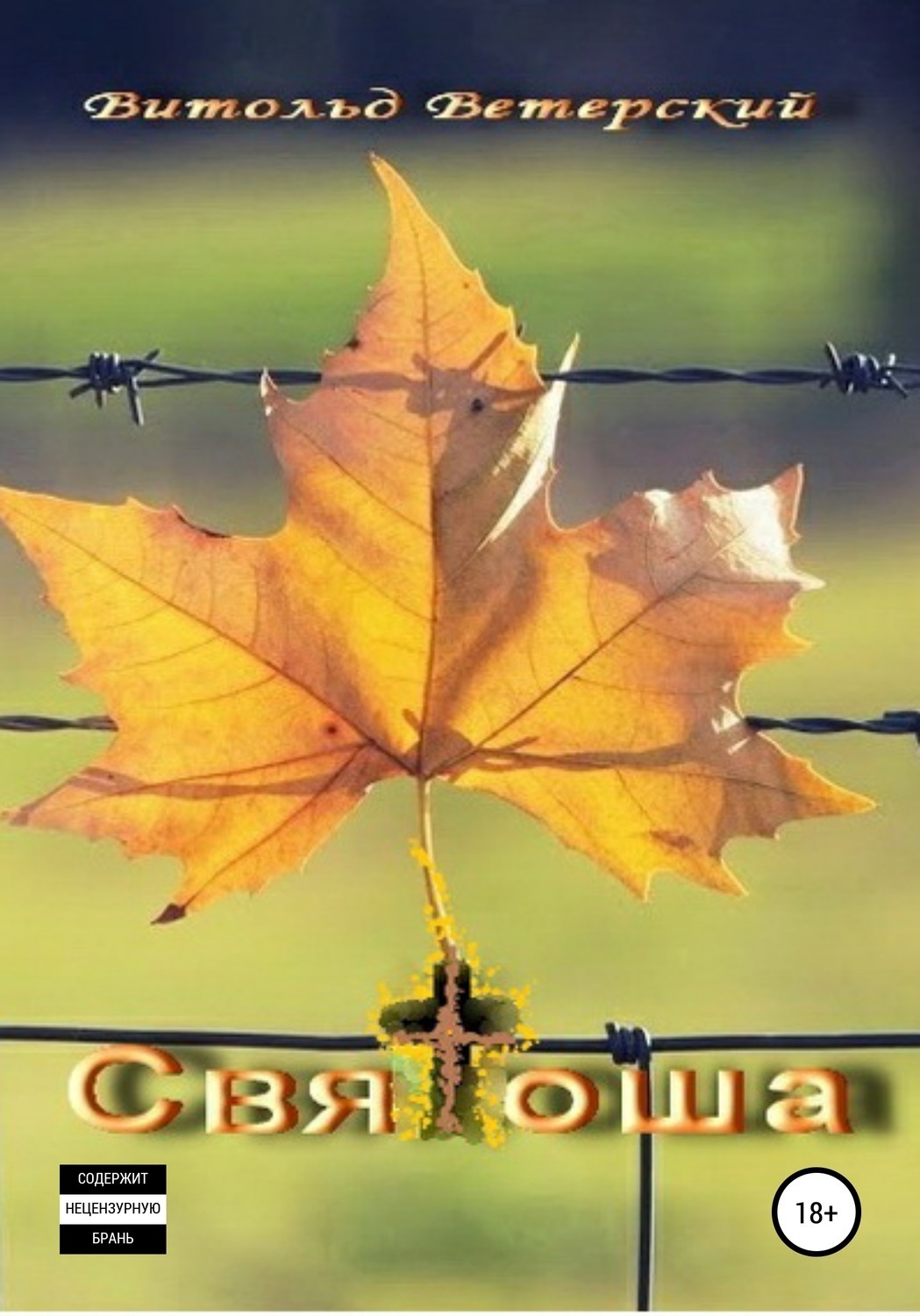 Обложка книги «Святоша»