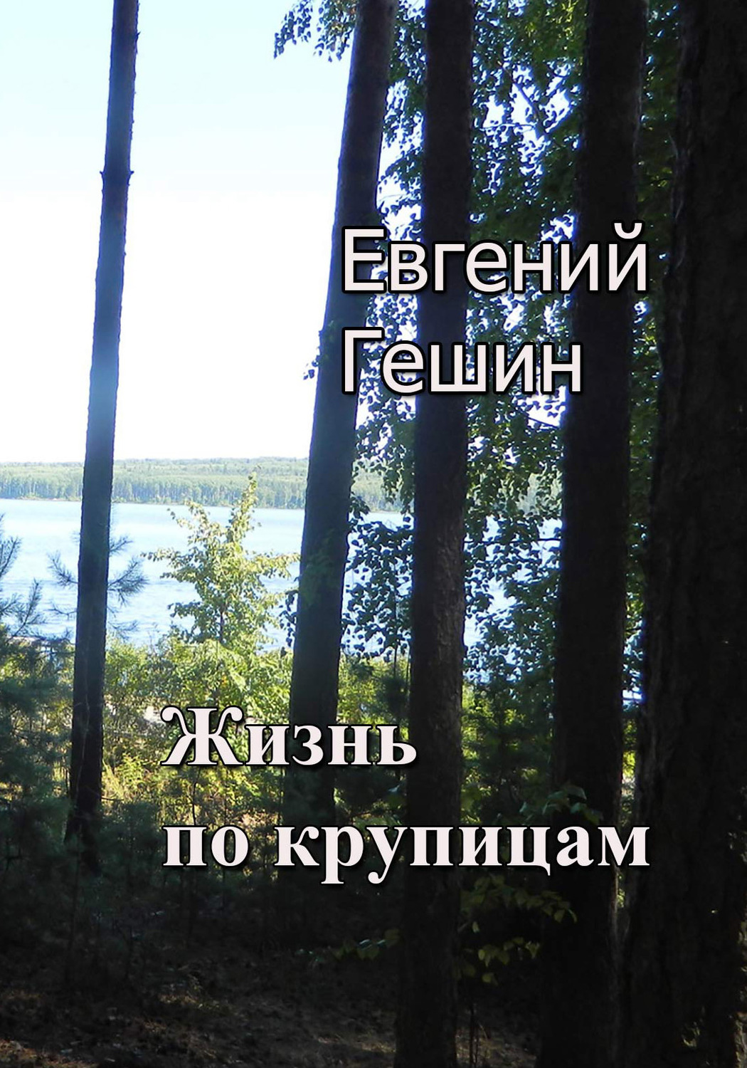 Обложка книги «Жизнь по крупицам»