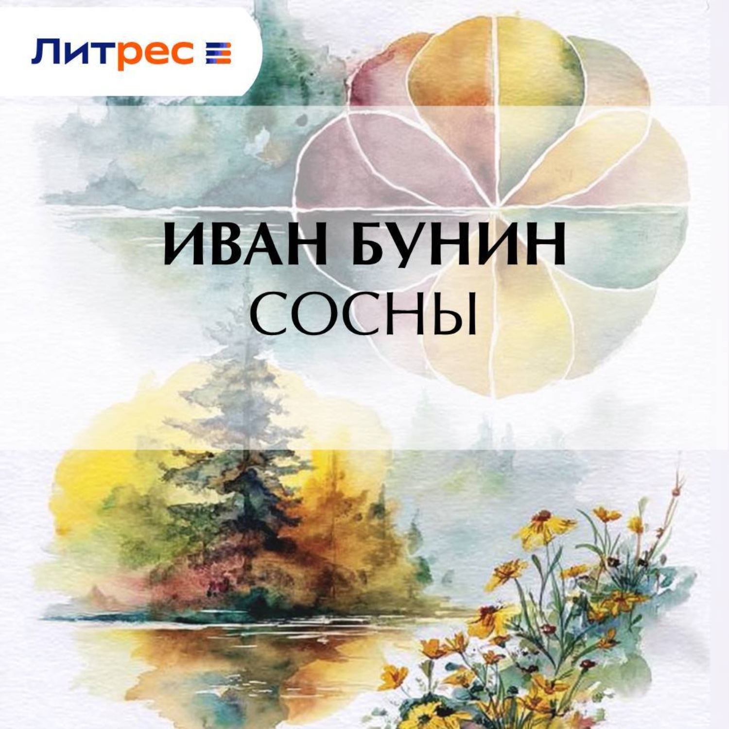 Обложка книги «Сосны»