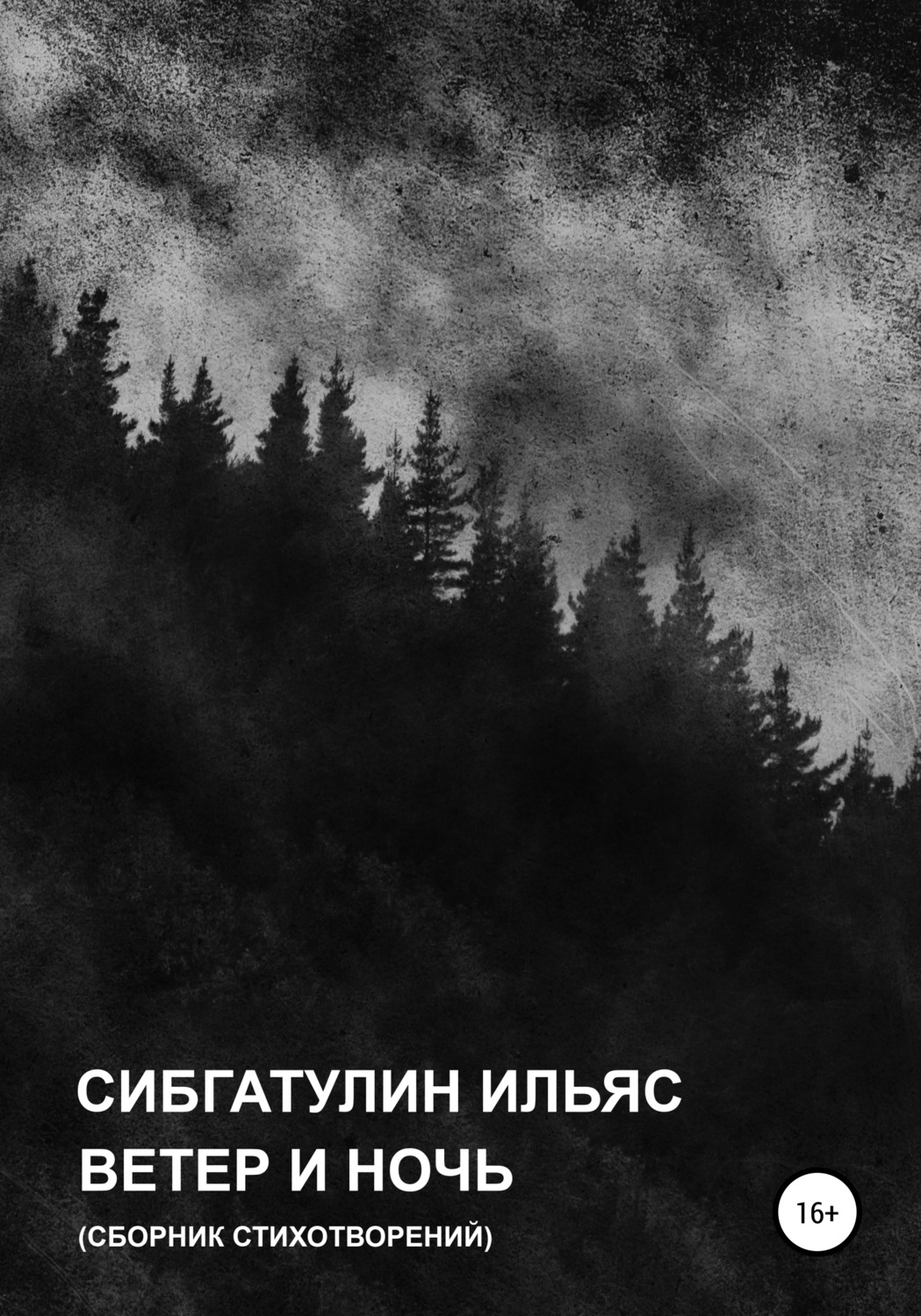 Обложка книги «Ветер и ночь»