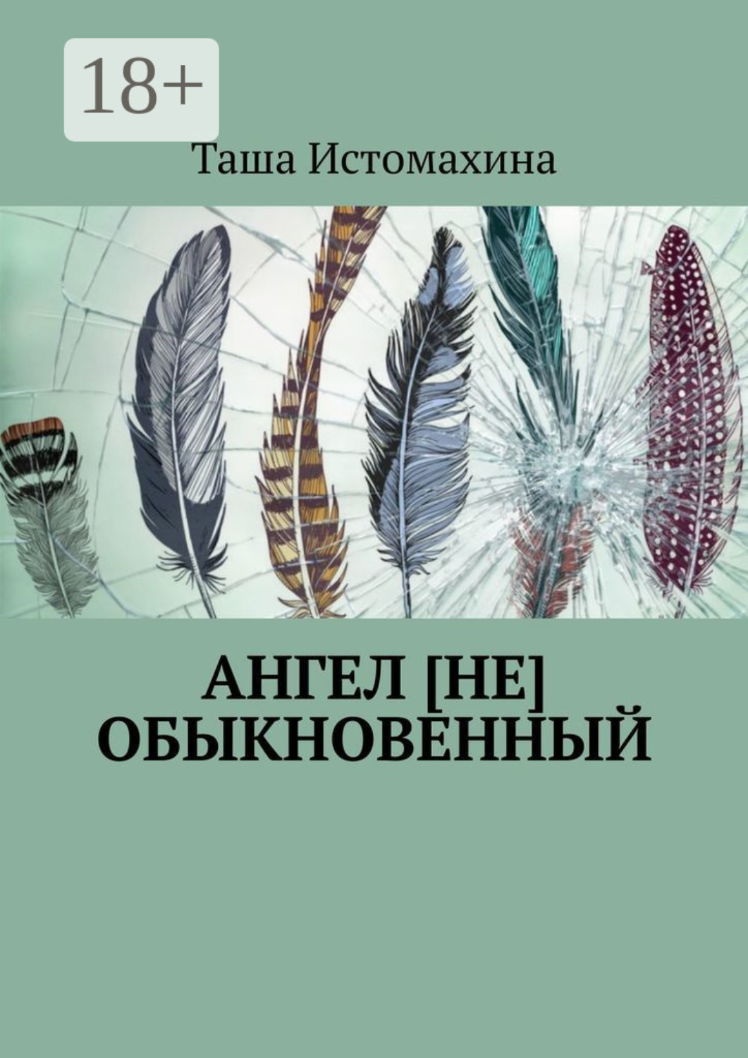 Обложка книги «Ангел [не] обыкновенный»