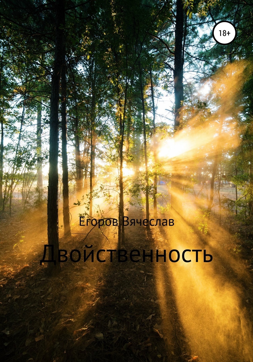 Обложка книги «Двойственность»