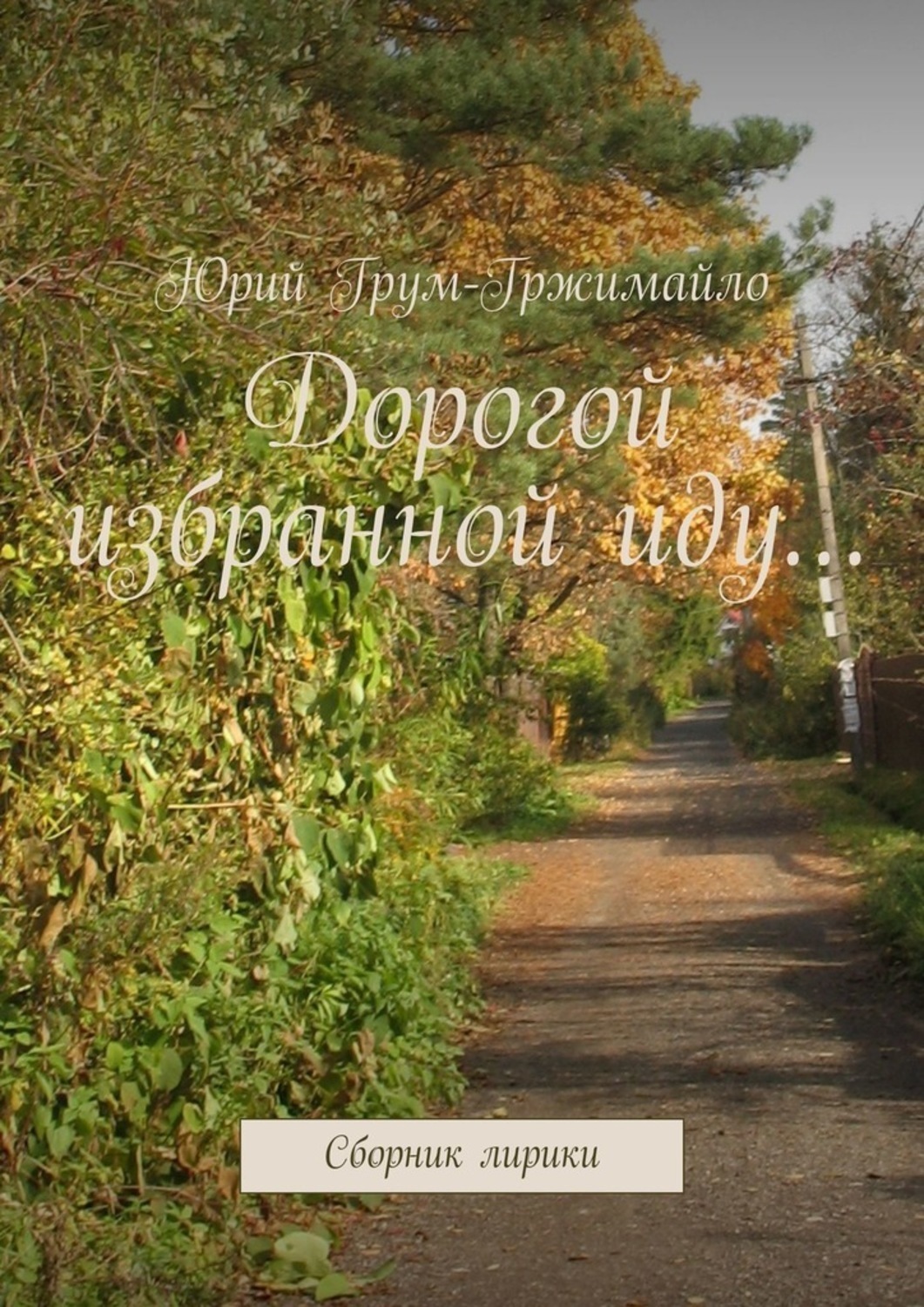 Обложка книги «Дорогой избранной иду… Сборник лирики»