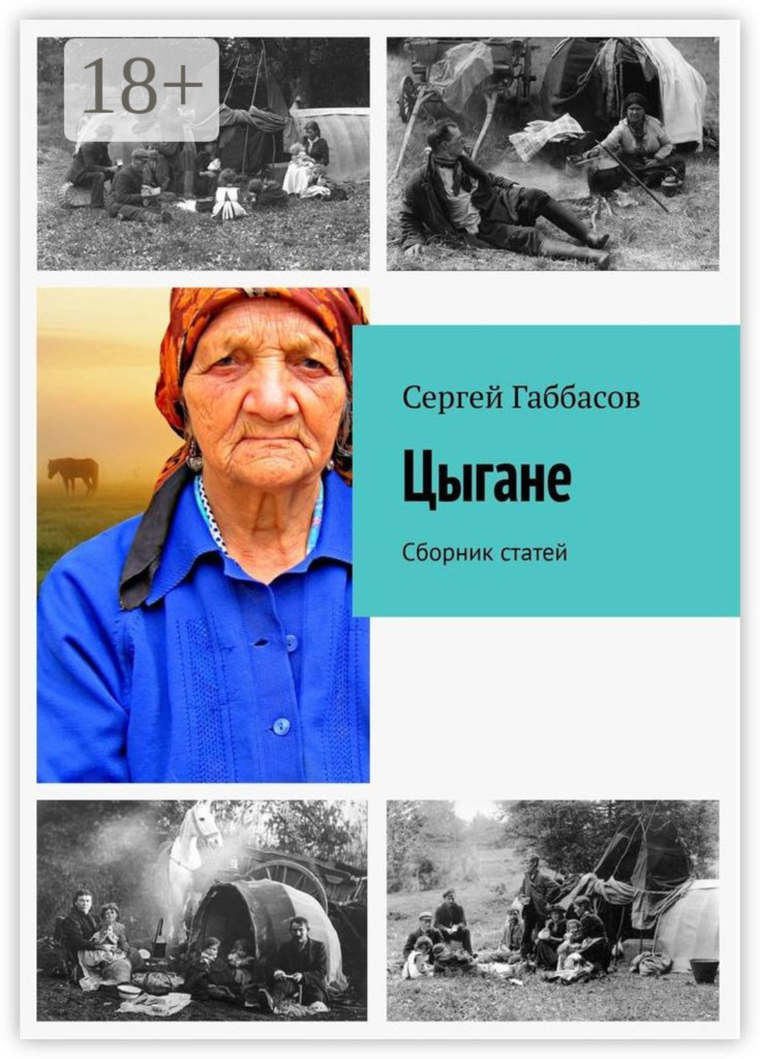 Обложка книги «Цыгане. Сборник статей»