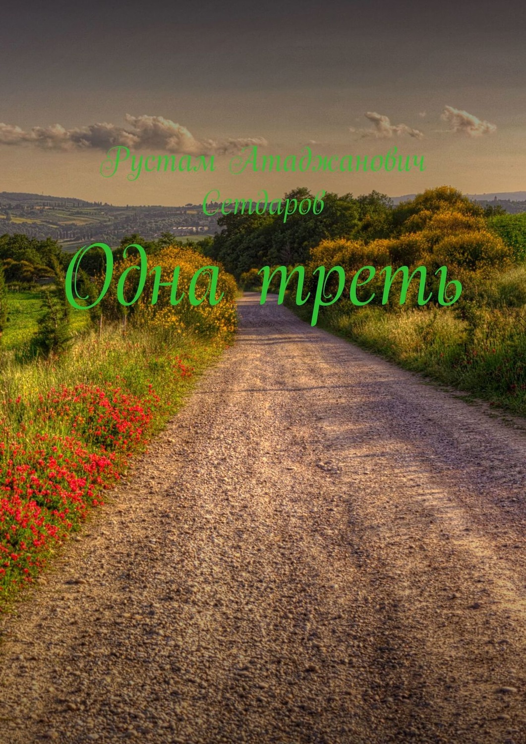 Обложка книги «Одна треть»