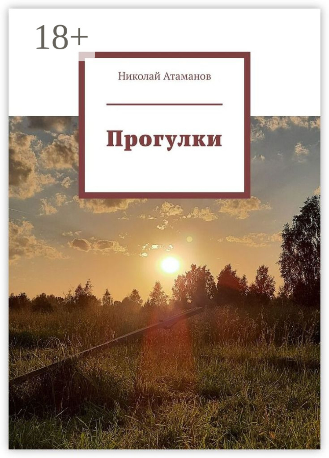 Обложка книги «Прогулки. Главное в деталях»