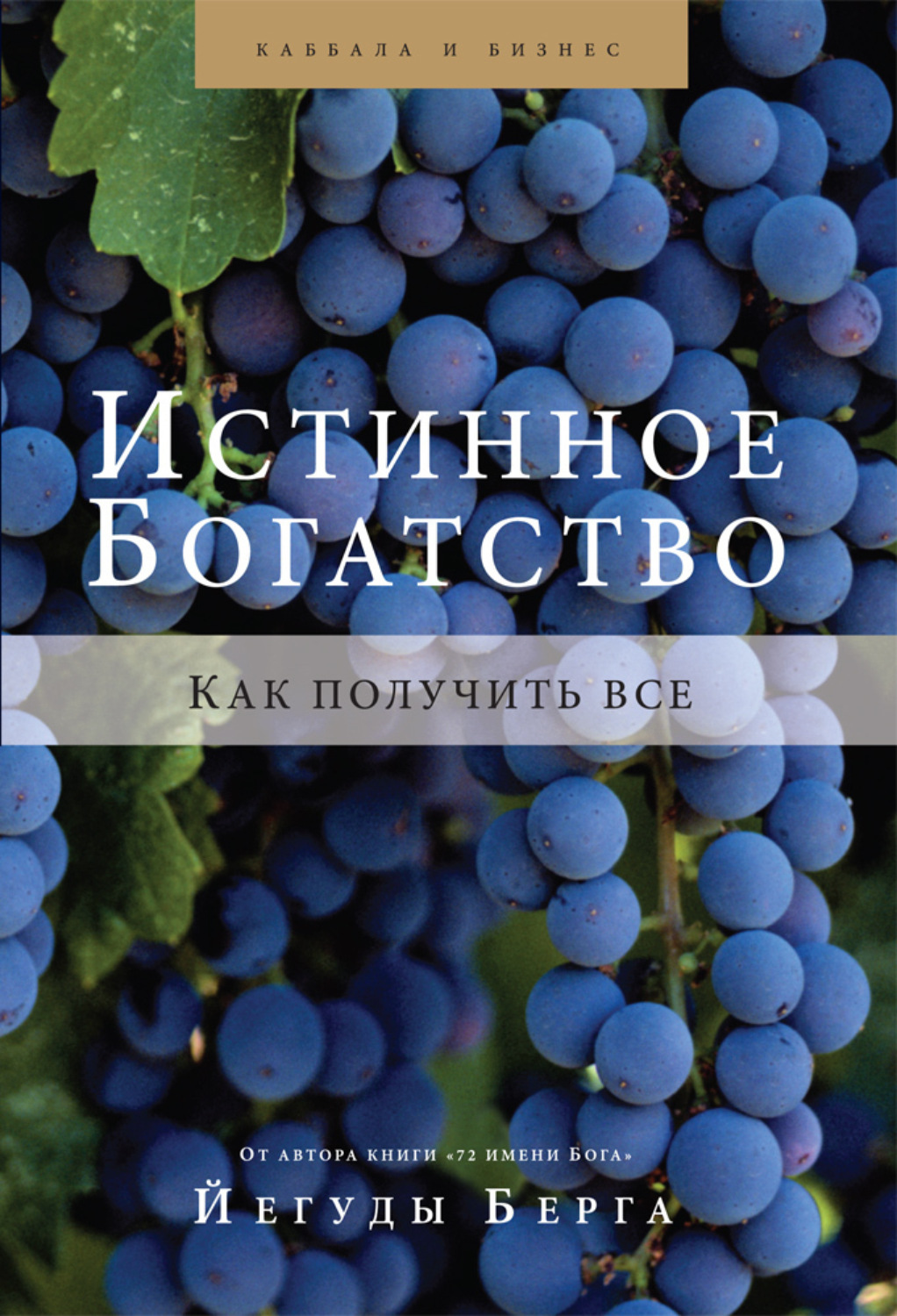 Обложка книги «Истинное богатство. Как получить все»
