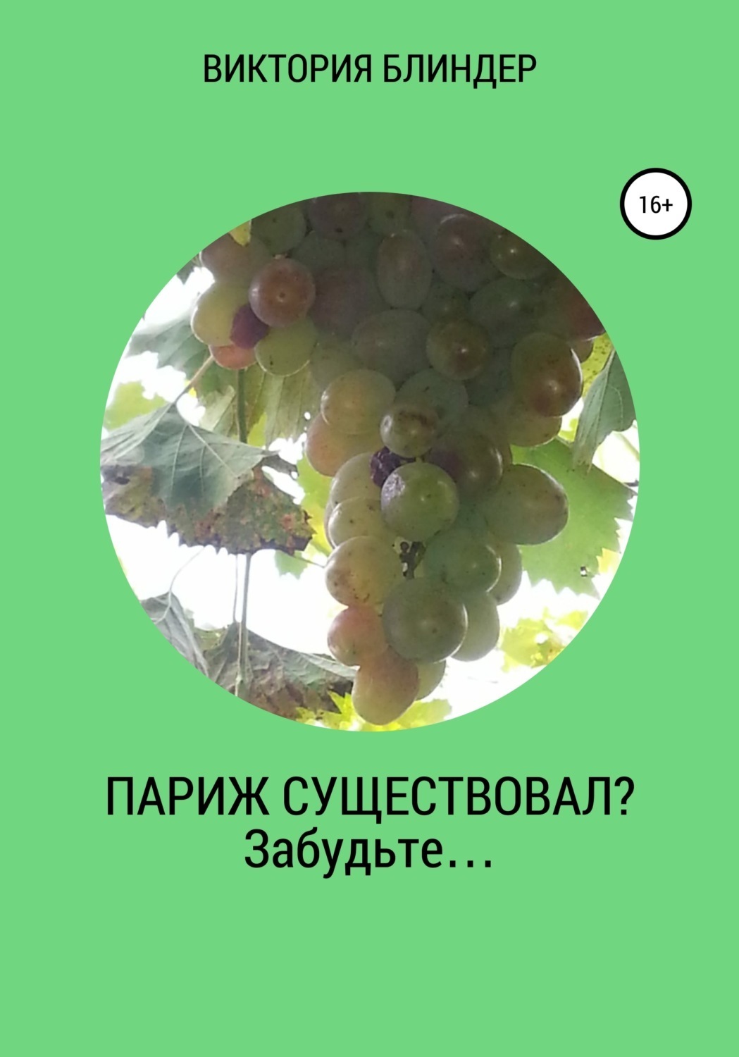 Обложка книги «Париж существовал? Забудьте…»