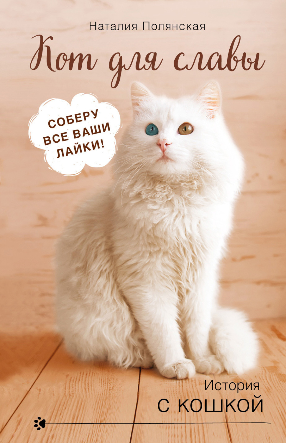 Обложка книги «Кот для славы»