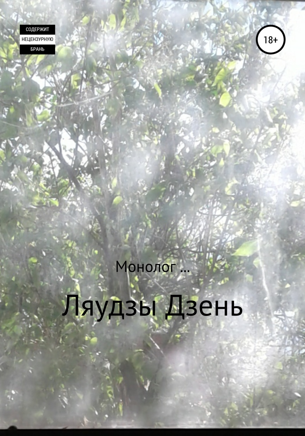 Обложка книги «Монолог»