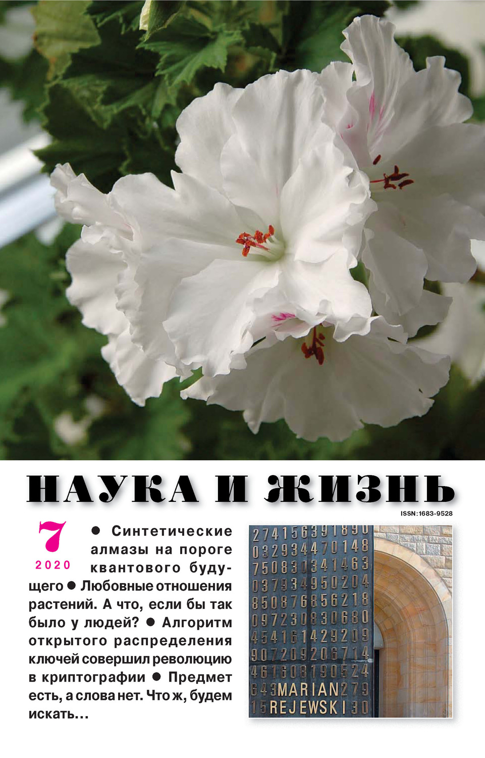 Обложка книги «Наука и жизнь №07/2020»