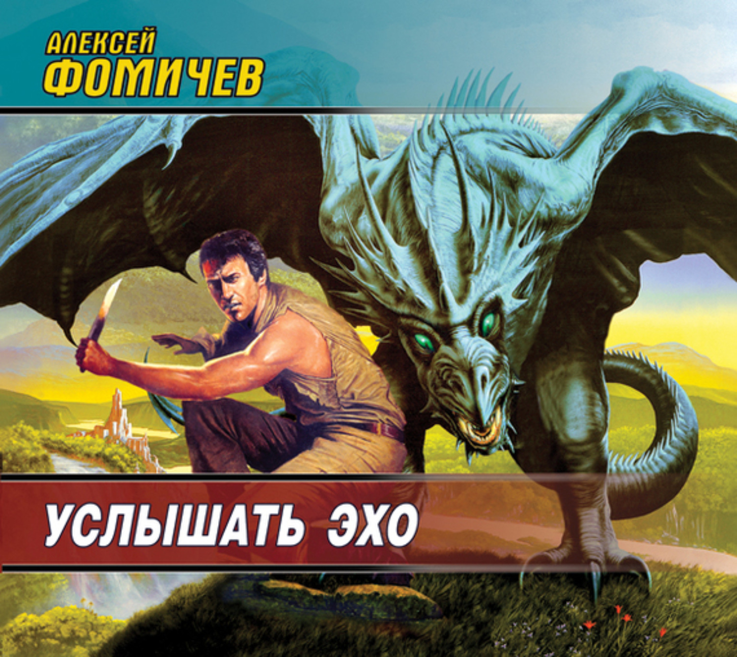 Обложка книги «Услышать эхо»