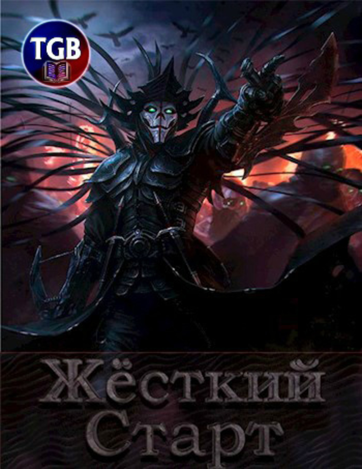 Обложка книги «Жесткий Старт»