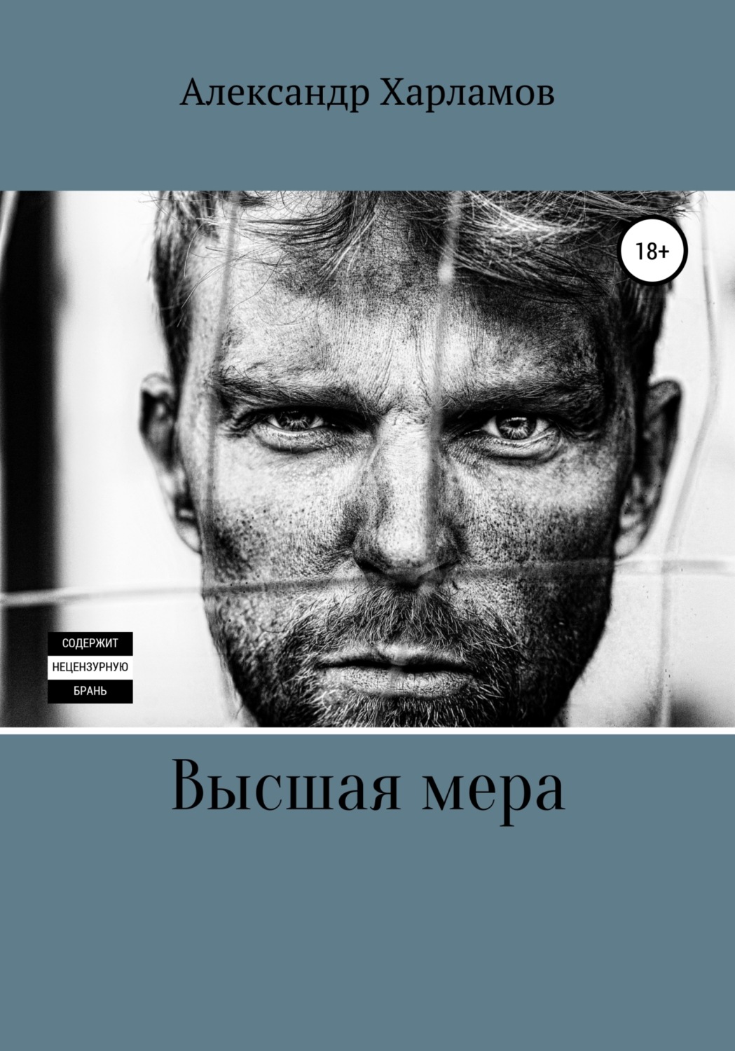 Обложка книги «Высшая мера»