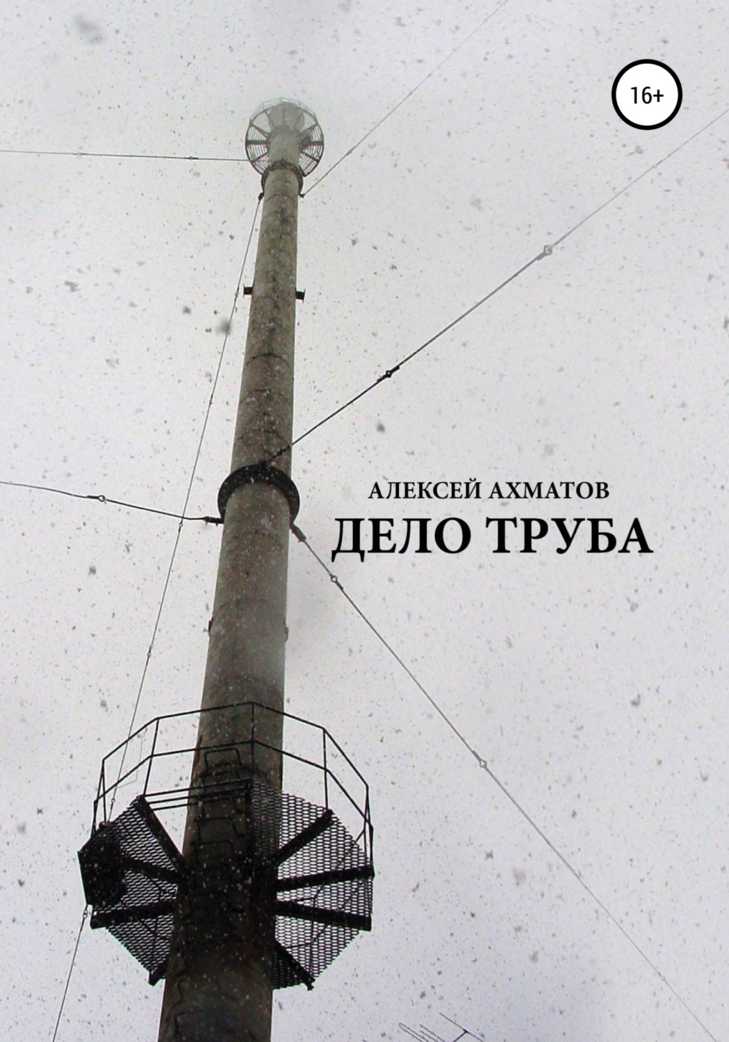 Обложка книги «Дело труба»