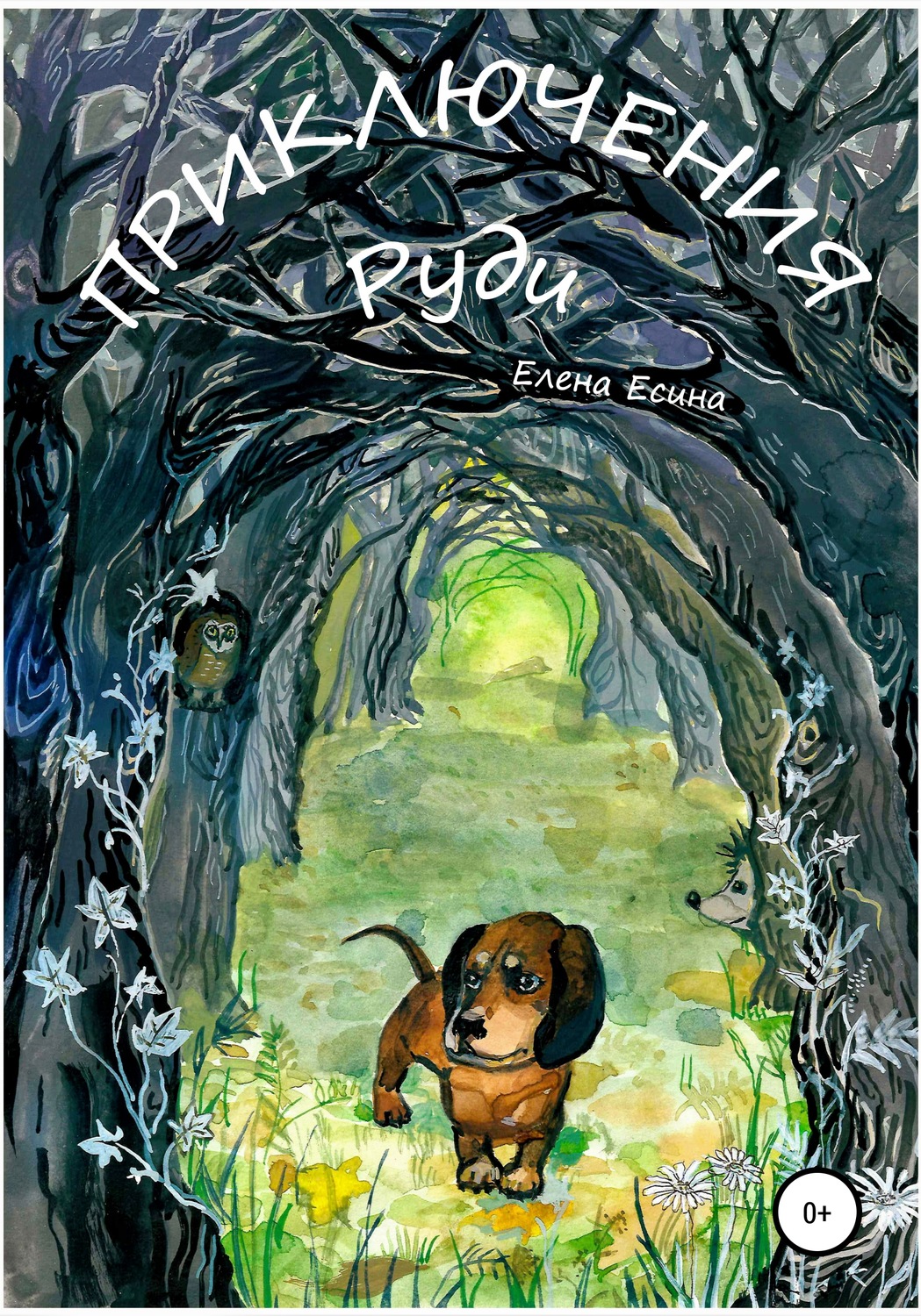 Обложка книги «Приключения Руди»