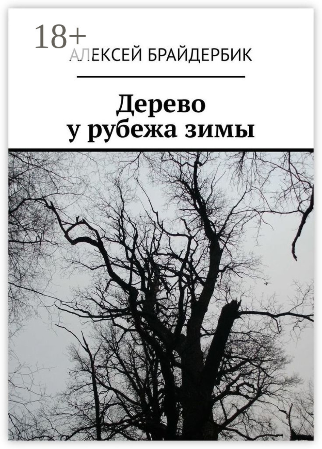 Обложка книги «Дерево у рубежа зимы»