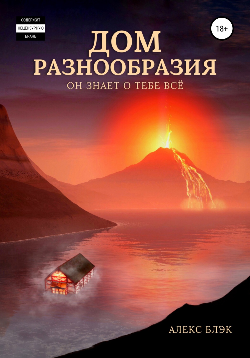 Обложка книги «Дом разнообразия»