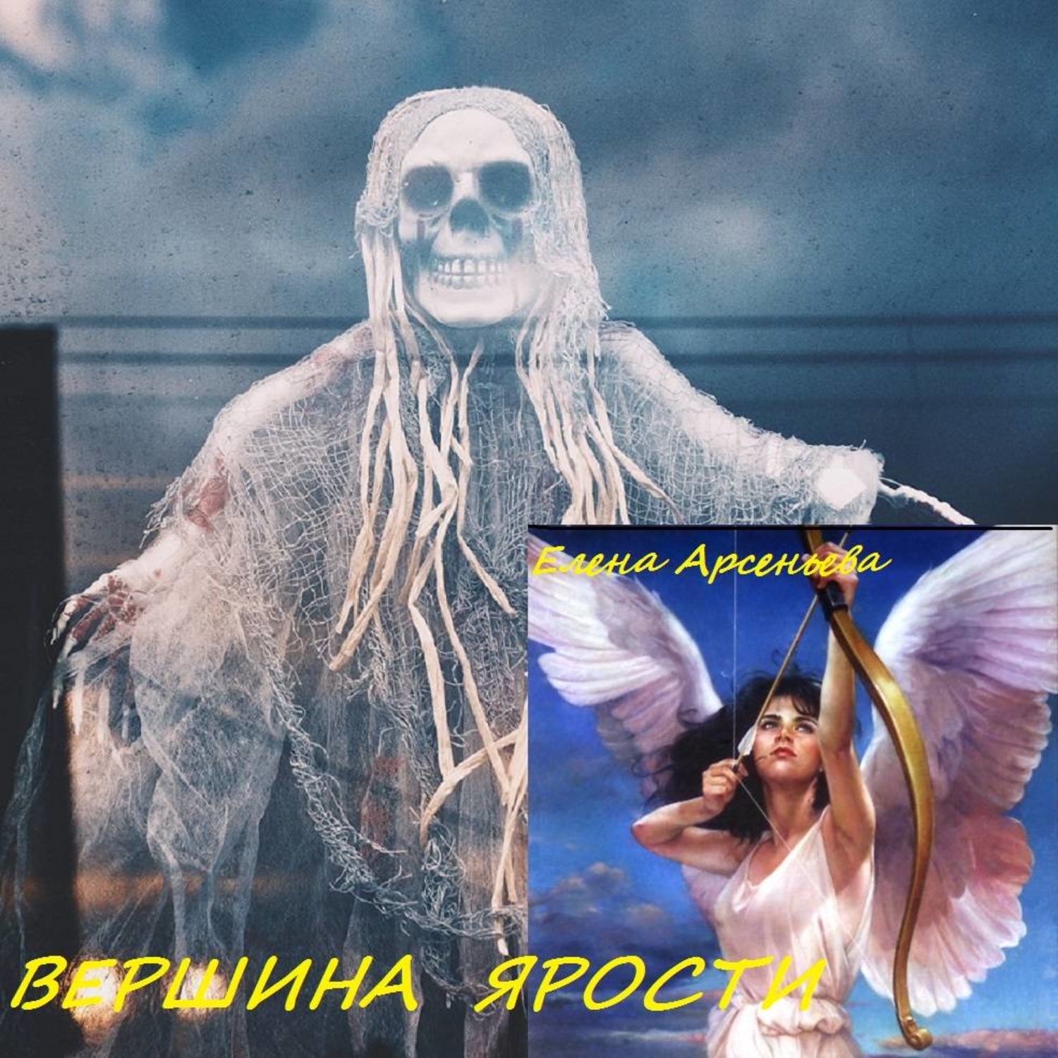 Обложка книги «Вершина ярости»